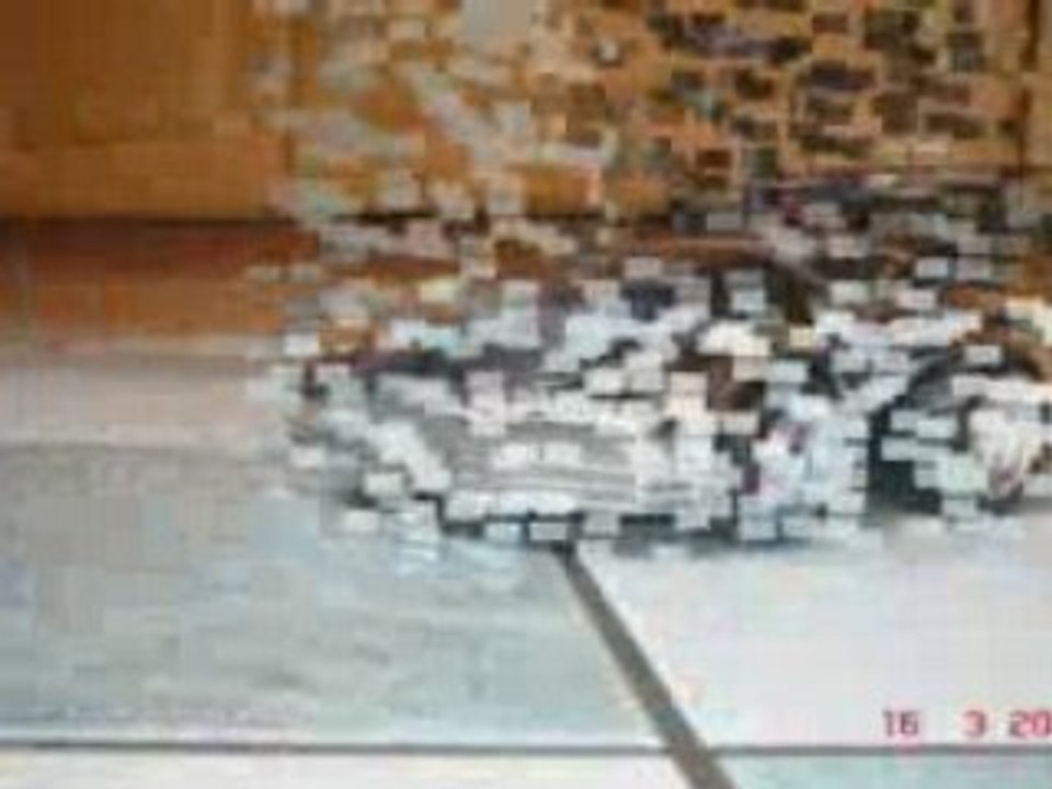 Ca passe ou ca casse