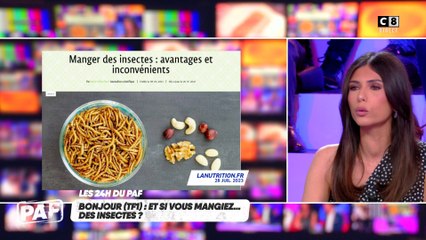 Manger des insectes : une bonne idée ?