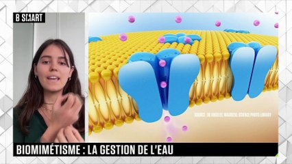 SMART TECH - Améliorer notre gestion de l’eau grâce au biomimétisme