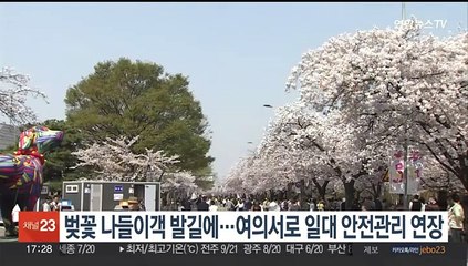 벚꽃 나들이객 발길에…여의서로 일대 안전관리 연장