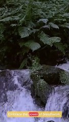 Empower Your Wellness Journey Conscious Fit Life Episode 1