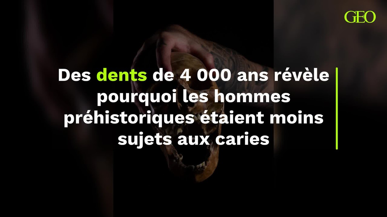 Des dents de 4 000 ans révèle pourquoi les hommes préhistoriques étaient moins sujets aux caries