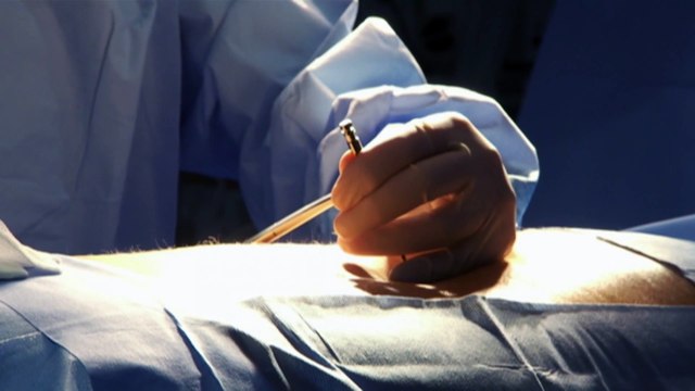 Health Minister launches investigation into the industry