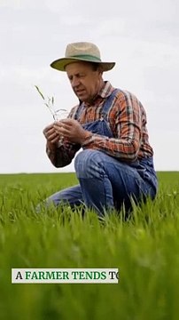 Long-Term Care Insurance Planning for Your Future Care