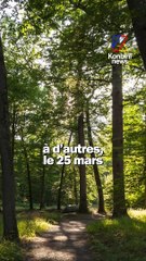 Ça vient d'où les poissons d'avril ?