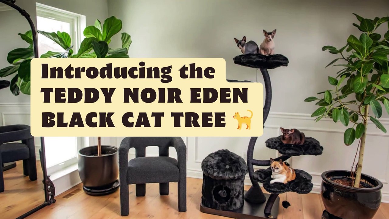 New Teddy Noir Black Cat Tree | Modern Designed Cat Trees