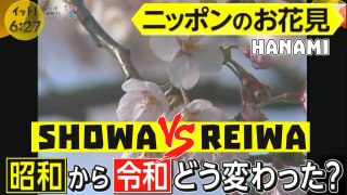 Hanami: 昭和から令和花見どう変わった Showa Vs Reiwa – Cosa è cambiato / What changed