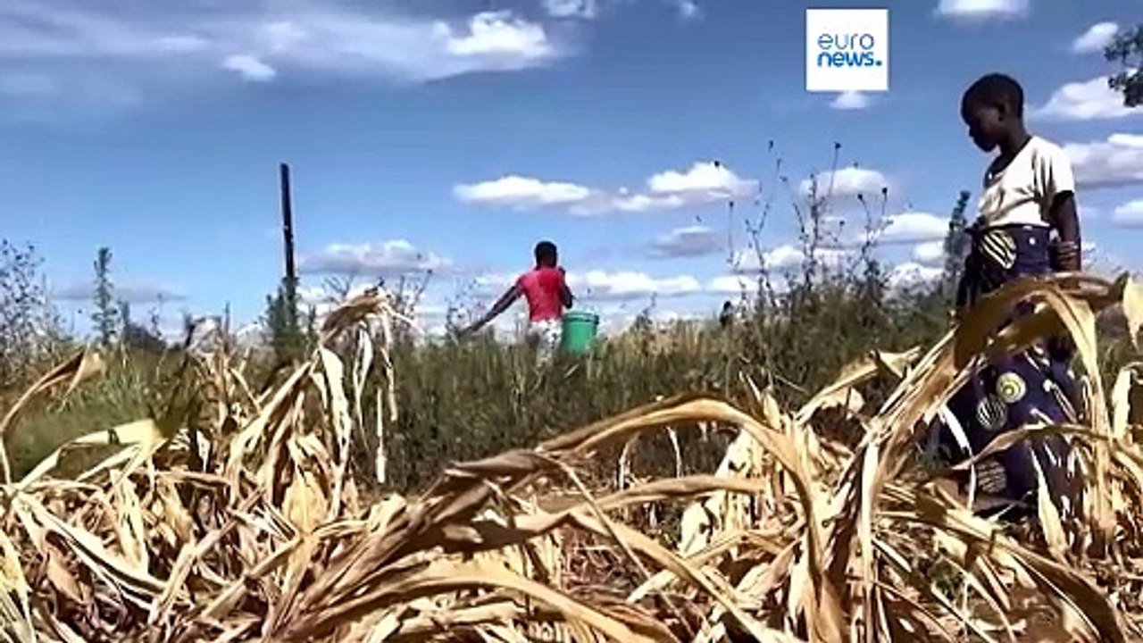 Март 2024-го стал самым жарким за всю историю наблюдений