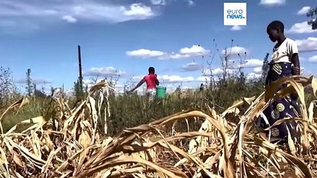 Март 2024-го стал самым жарким за всю историю наблюдений