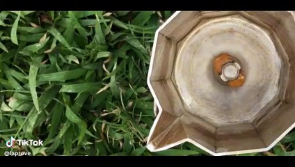 Coffee Arabica Laprove