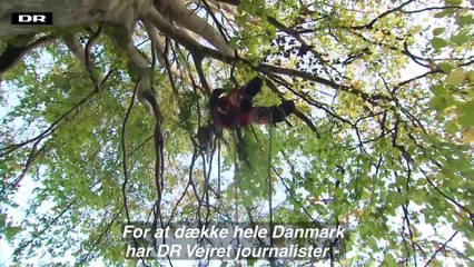 Se hvordan arbejdsdagen er hos DR Vejret |2022| DR