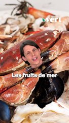 Le bilan d'Attal avec Loup Espargilière