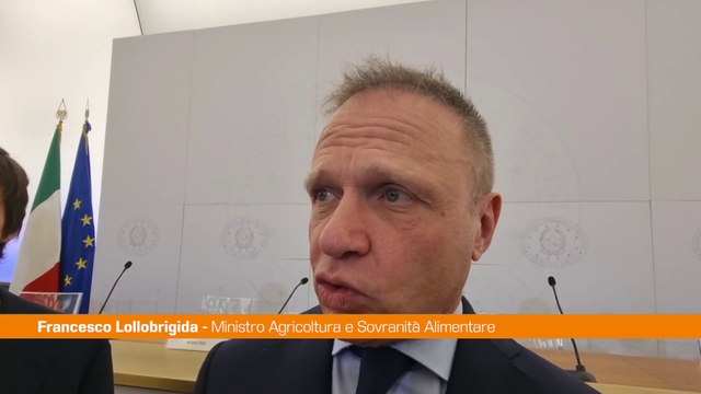 Agroalimentare, Lollobrigida Italia eccellenza sui controlli
