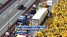 Italienische Bauern protestieren auf der Autobahn an der Grenze zu Österreich