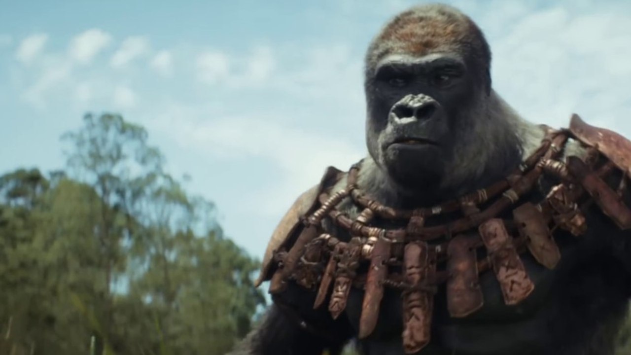Kingdom of the Planet of the Apes: Der IMAX-Trailer zeigt fast eine ganze Szene aus dem neuen Film