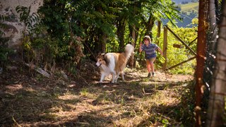 Lassie: A New Adventure - Trailer