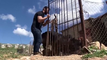 شاهد: متطوّع يرعى الحيوانات المشرّدة على خط النار جنوبي لبنان