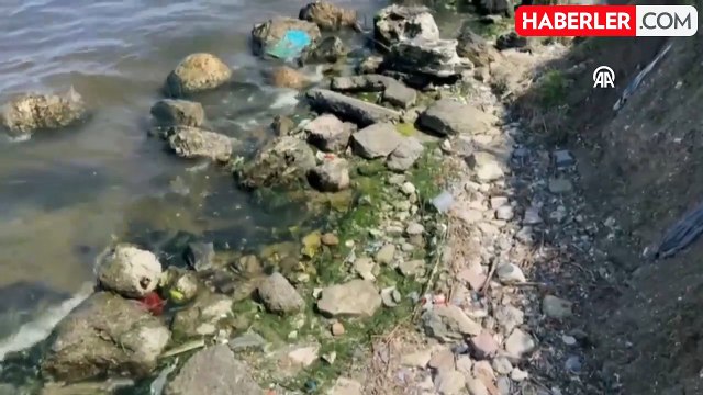 Küçükçekmece Gölü'nde Renk Değişimi ve Kötü Koku Şikayetleri