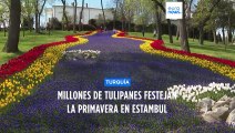 Millones de tulipanes saludan la primavera en Estambul