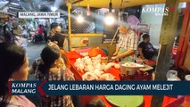 Jelang Lebaran Harga Daging Ayam Melejit Tembus Rp 40 ribu per Kilogram