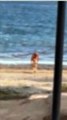 MERGULHO PELADO NO MAR: Idoso é preso tomando banho completamente nu em praia de Maceió