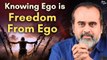 Knowing ego is freedom from ego || Acharya Prashant, with youth (2013)