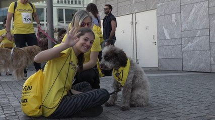 Arcaplanet alla Milano Marathon: "Il successo è raddoppiato, un record storico con la nostra Dog Run"