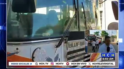 ¡Relajeros! Riña entre buseros termina a punta de pedradas y vidrios quebrados en La Ceiba