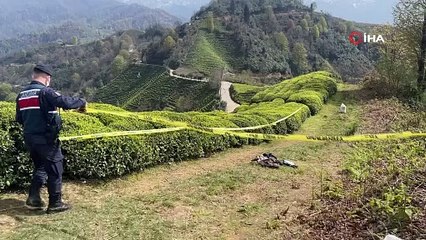 Rize'de çay bahçesinde erkek cesedi bulundu