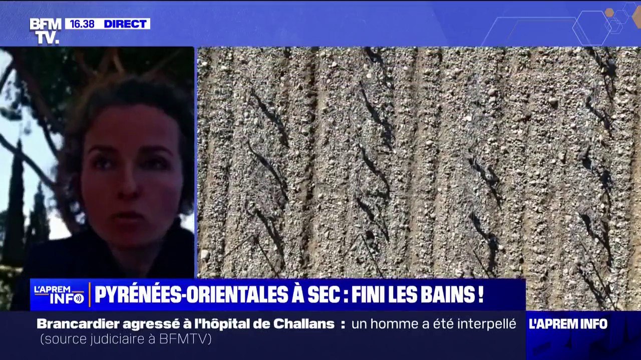 "Le tourisme et les loisirs prennent leur part": Aude Vivès (vice-présidente des Pyrénées-Orientales) évoque la charte signée par les hôtels-restaurants de son département pour réduire la consommation d'eau
