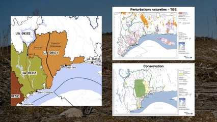 Introduction à la foresterie autochtone: Documentaire Scientifique