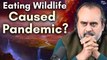 Pandemic Caused by Eating Wild Animals? || Acharya Prashant (2020)