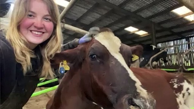 Meet the South Hams farmer who decided not to follow the herd (SWNS)