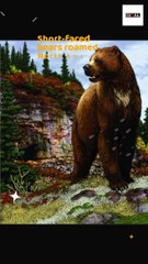 Facts About Short Faced Bear