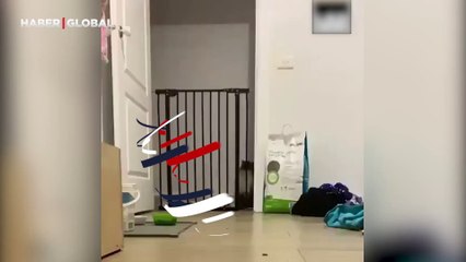 Demir parmaklıklı kapıyı inanılmaz bir atlayışla aşan kedi hayrete düşürdü