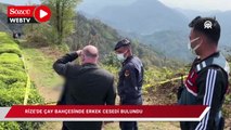 Rize'de yaş çay bahçesinde erkek cesedi bulundu