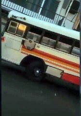 Busero destruye unidad transporte de La Ceiba con un bate