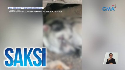 Asong tinamaan ng pana sa ulo, sinagip | Saksi