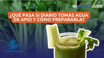 ¿Qué pasa si diario tomas agua de apio y cómo prepararla?