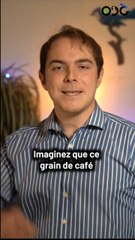 La masse de l’univers !