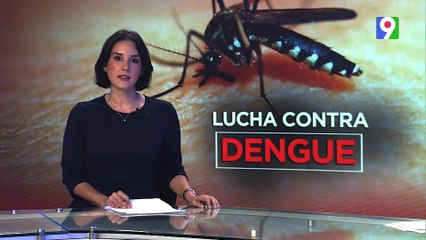 SP lanzan jornada nacional contra el dengue | Primera Emisión SIN
