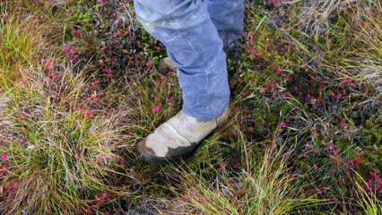 La Ruée Vers L'or Le Défi Des Hoffman S01e07 Une Belle Proie
