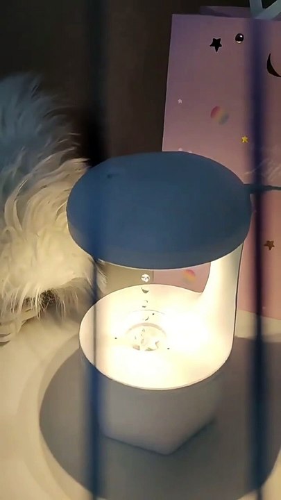 Anti Gravity Air Humidifier