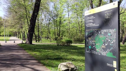 Park Kościuszki w Katowicach wiosną