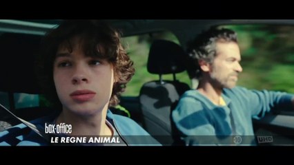 Le règne animal - 12 avril