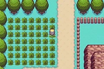 Pokémon Thunder Yellow online multiplayer - gba