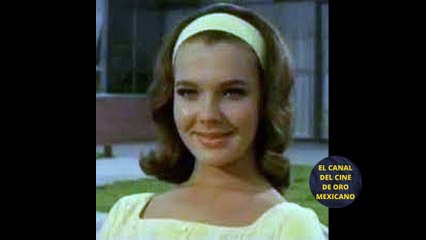 EL GALÁN QUE SE ENFRENTÓ AL TALENTO DE “TIN TAN” PERO SU HIJO SE ARROJÓ DE UN CUARTO PISO PARA PERDER LA VIDA