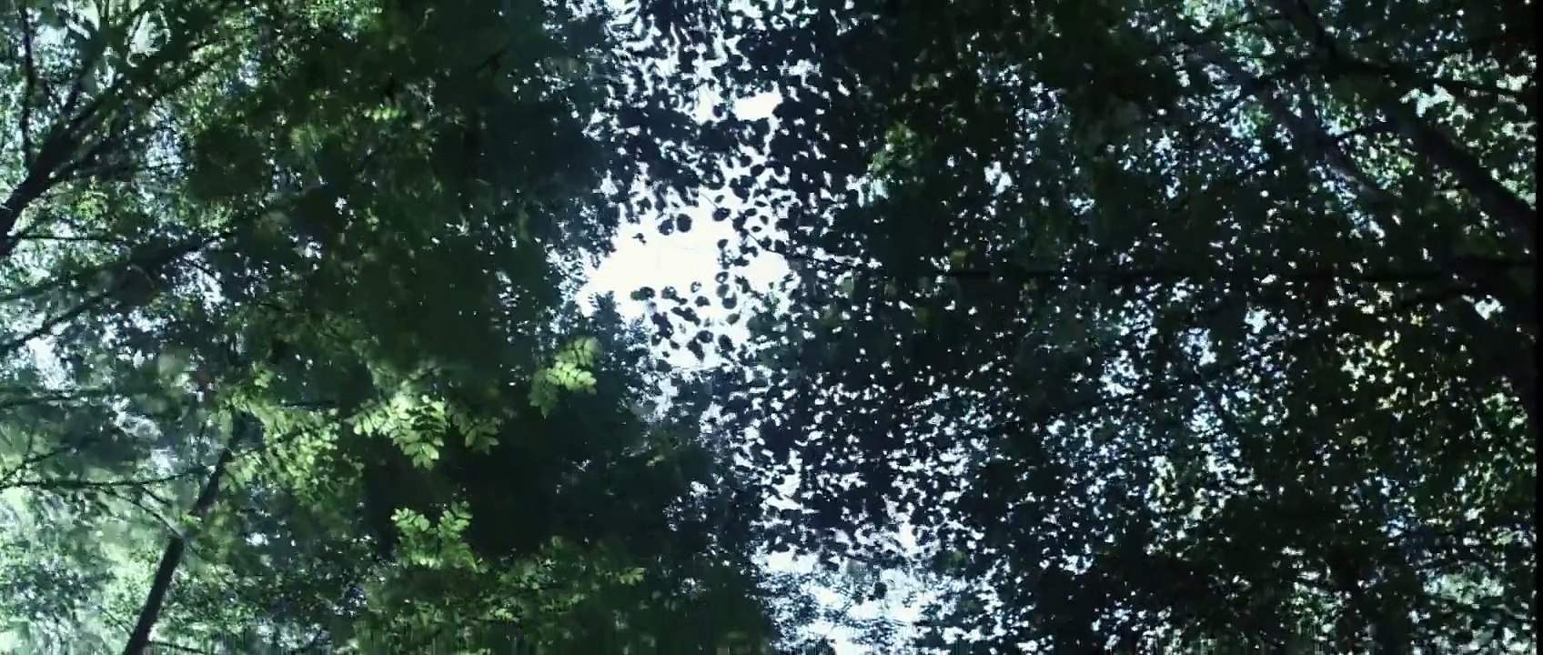 Livid - Das Blut der Ballerinas (2011) stream deutsch anschauen