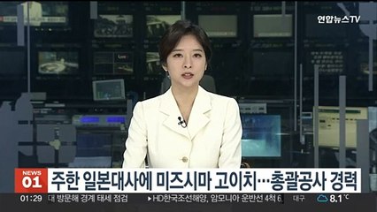 주한 일본대사에 미즈시마 고이치 임명…총괄공사 경력