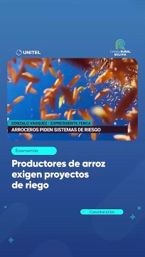 Productores de arroz exigen proyectos de riego